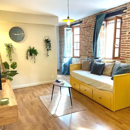 Le Nid Du Pont Vieux Appartement Albi