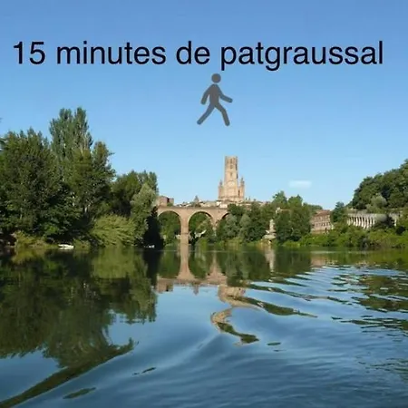 Le Nid Du Pont Vieux Albi