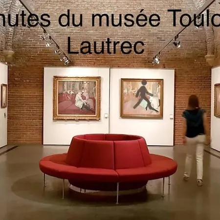 Le Nid Du Pont Vieux * Αλμπί