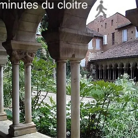 Le Nid Du Pont Vieux * Albi