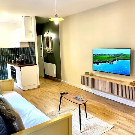 Daire Le Nid Du Pont Vieux Albi