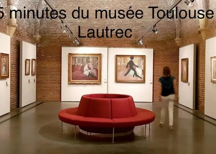 Le Nid Du Pont Vieux * Albi