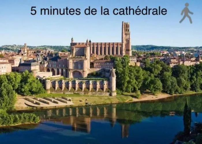 Le Nid Du Pont Vieux Albi
