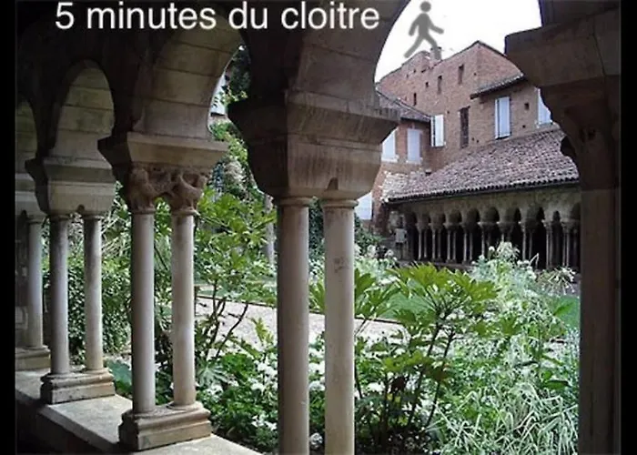 Le Nid Du Pont Vieux * Albi