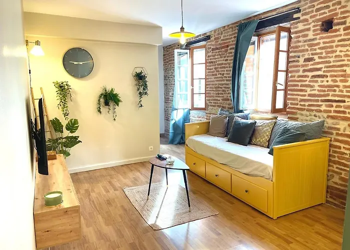 Le Nid Du Pont Vieux Apartmán Albi