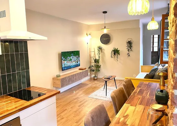 Apartmán Le Nid Du Pont Vieux