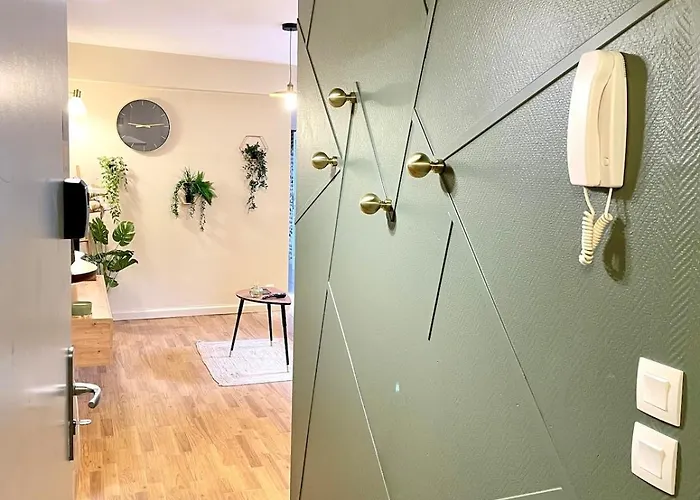 Le Nid Du Pont Vieux Apartmán Albi